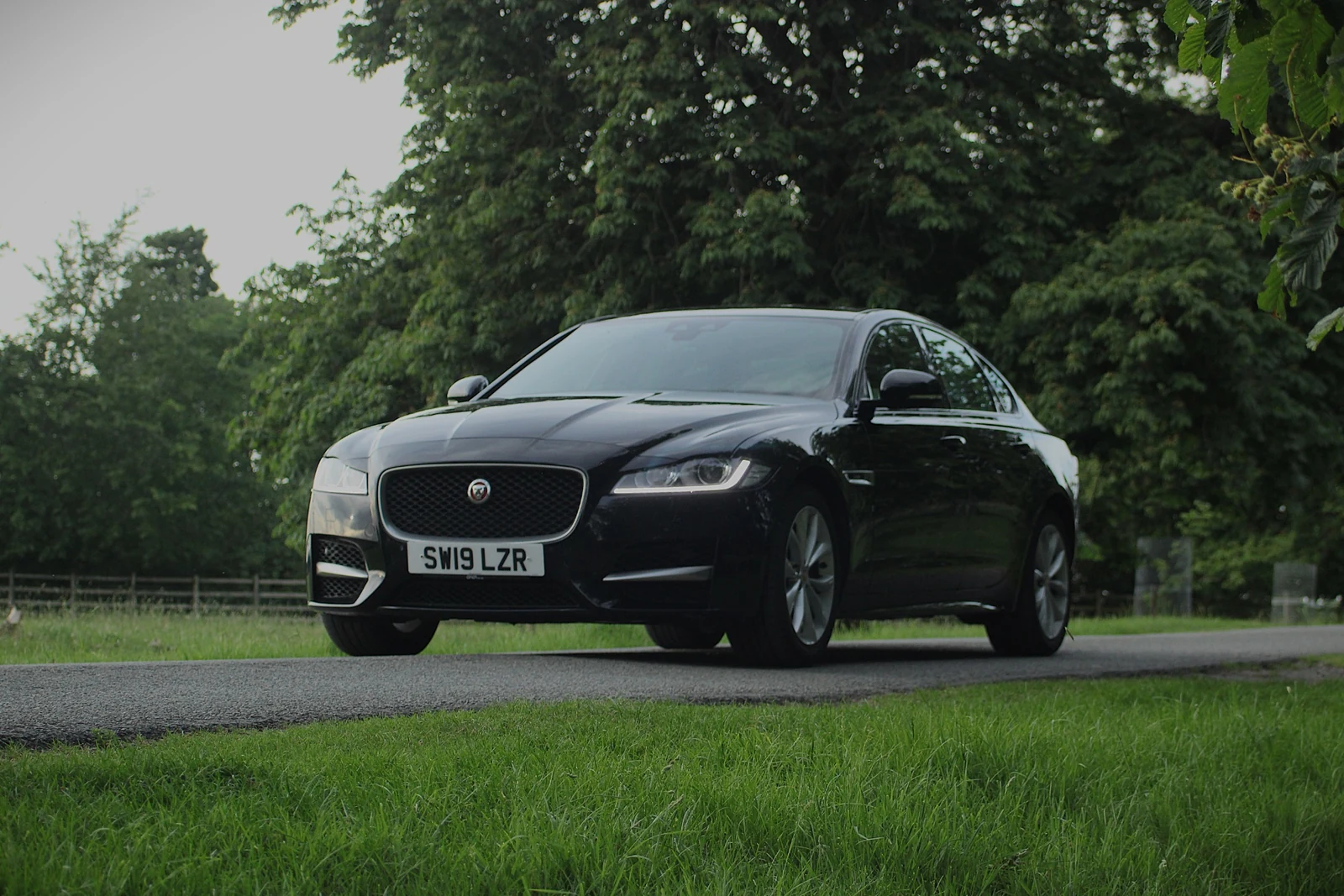 A black Jaguar photographed from the front three-quarter angle, with grass in the foreground.